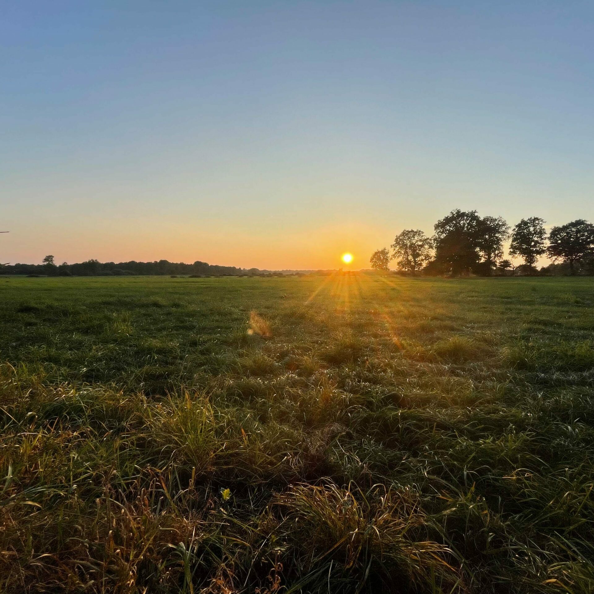 bremer_agrarkultur_foto_1